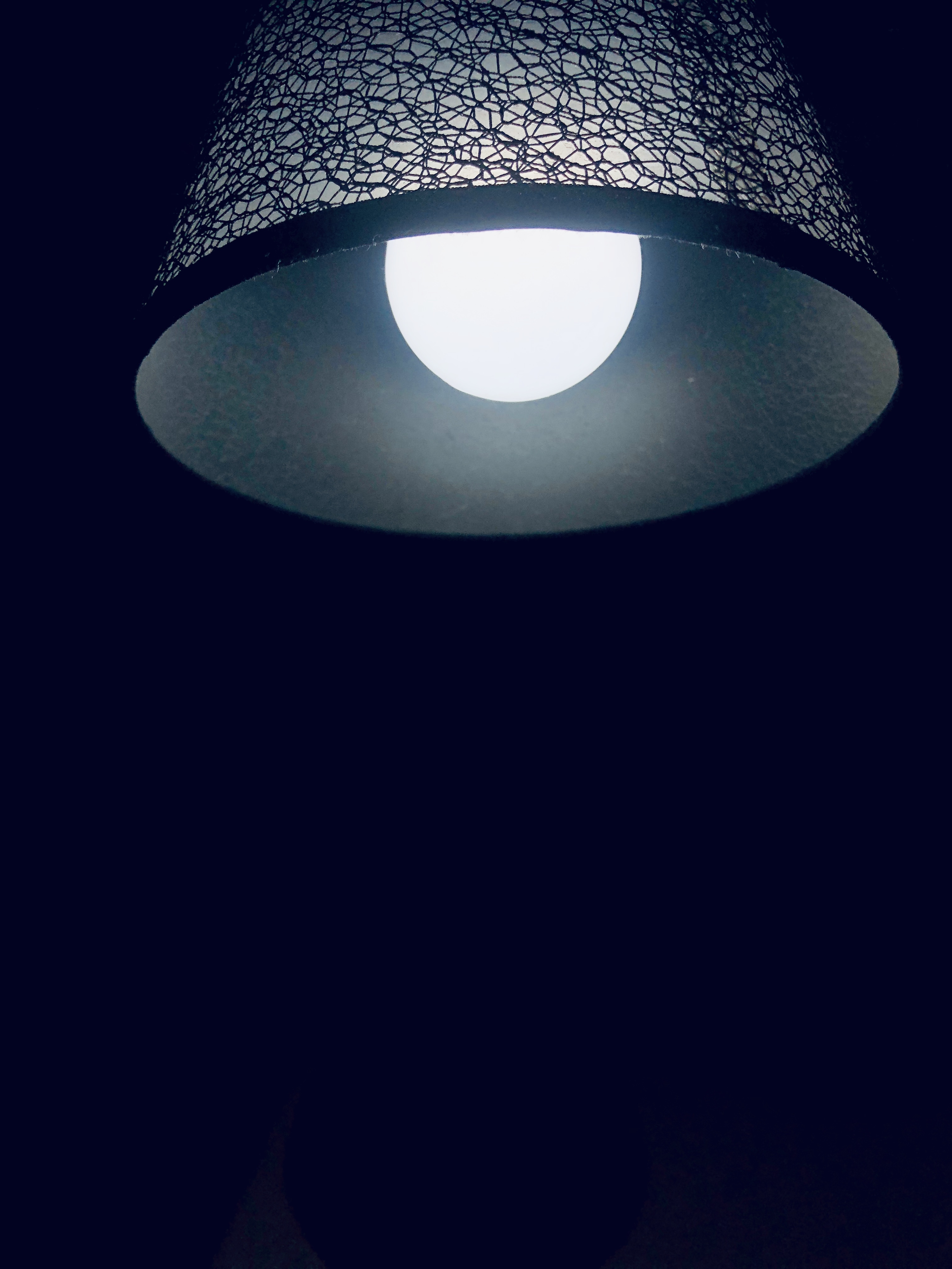 2019-08-08 233943.jpg