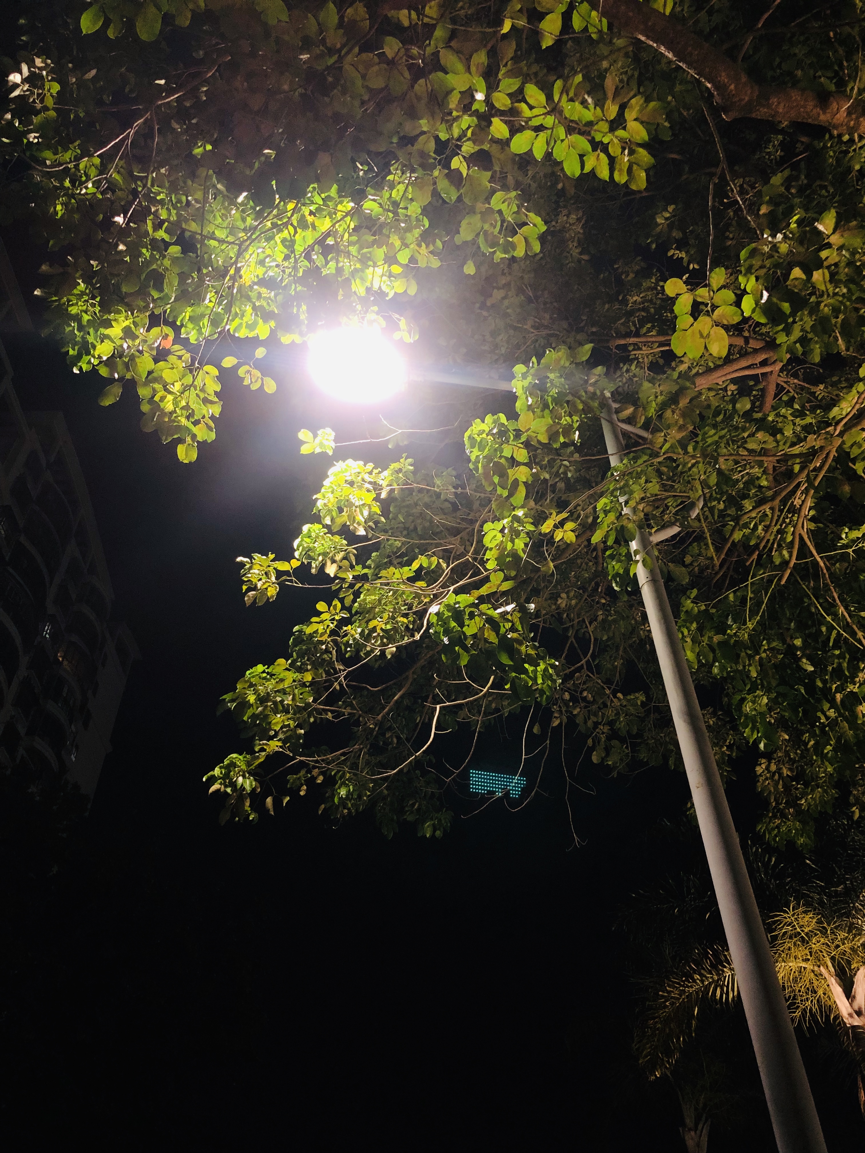 2019-08-08 214150.jpg